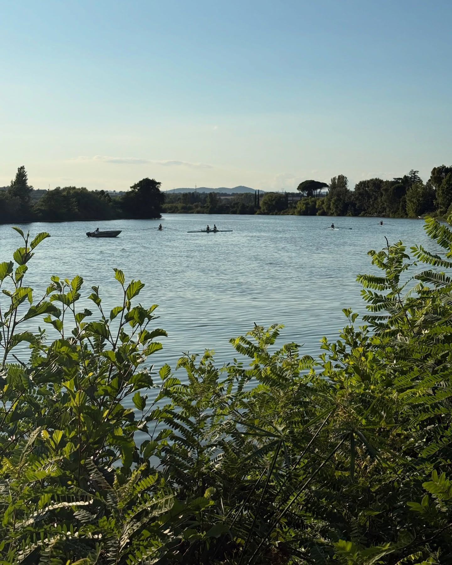 Ogni remata tra questi paesaggi è forza, respiro e libertà.
#fiume #tramonto #canottaggio #natura #paesaggio #remo #sportallariaaperta #acquatranquilla #tramontosulacqua #serenità #rowinglife #sunsetvibes #riverlove #rowersview #sunsetrow